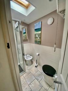 a bathroom with a toilet and a sink at Frogmore Corner in Tregoney