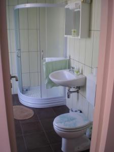 a bathroom with a toilet and a sink and a shower at Apartments Petar Pan in Krapinske Toplice