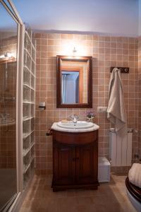 a bathroom with a sink and a mirror and a shower at El Molino de Castiello de Jaca in Castiello de Jaca