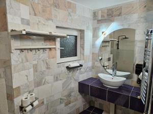 Koupelna v ubytování Amethyst House Therme & Bucharest Otopeni Airport + 37 fotografií