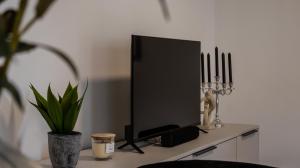 TV a/nebo společenská místnost v ubytování Flat Bull Appartement mit Garten