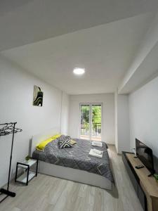 een slaapkamer met een bed en een televisie. bij Stefanelli Apartment in Struga