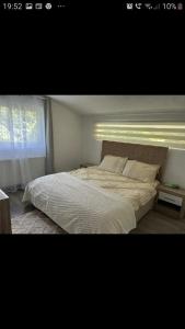 ein Schlafzimmer mit einem großen weißen Bett und einem Fenster in der Unterkunft VILA Ade in Padeş + 49 Fotos