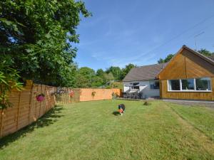 オーバンにあるHoliday Home Tigh na Sith by Interhomeの柵の横の庭に座る犬