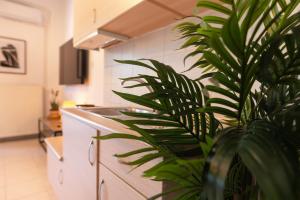 a kitchen with a plant next to a counter at Gardens of Babylon by Heaven's Hall in Alexandroupoli