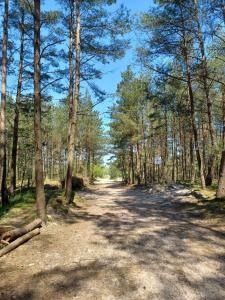 Foto de la galería de Jantar Up en Jantar 6 fotos más