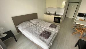 Kuchyňa alebo kuchynka v ubytovaní 1 room Apartment with terrace, Slnečnice
