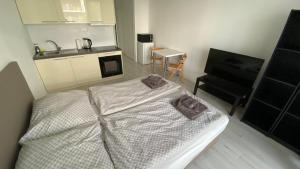 Posteľ alebo postele v izbe v ubytovaní 1 room Apartment with terrace, Slnečnice