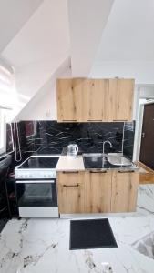 uma cozinha com pia e fogão em Apartman Biser Pive em Plužine