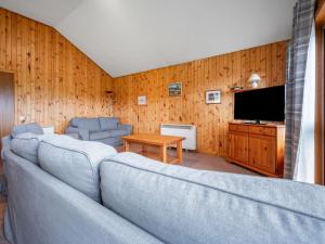 a living room with a couch and a television at Glomach Lodge at Lochletter Lodges in Drumnadrochit