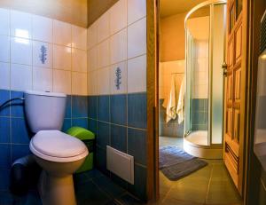 ein Bad mit einem WC und einer Dusche in der Unterkunft chatyliptov v srdci LIPTOVA in Liptovský Trnovec