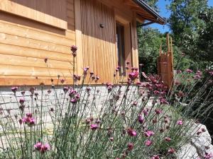 Petit chalet neuf indépendant 2 pers "La cabane de Jean "外面的花园