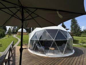 Vonkajšia záhrada v ubytovaní GM Eco Bubble