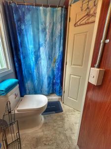 a bathroom with a toilet and a blue shower curtain at Casa Terra cerca de Playa in Barra de Navidad +45 photos
