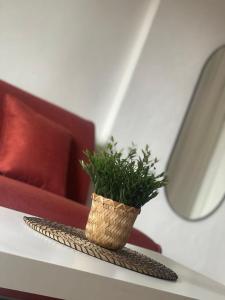 Fotografie z fotogalerie ubytování Joli Studio au centre de Juan les Pins v destinaci Juan-les-Pins