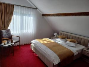 Foto dalla galleria di Casa Bobu Arieseni ad Arieşeni