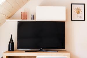 TV a/nebo společenská místnost v ubytování PavLove Apartment + 9 fotografií