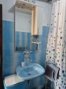 a blue bathroom with a sink and a shower curtain at Apartmani Ino in Škrip +20 photos