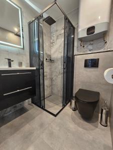 a bathroom with a shower and a toilet and a sink at Apartament Słowik Dębina 24 in Debina +12 photos