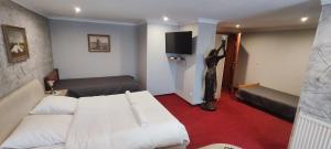 a hotel room with a bed and a tv at Pokoje Goscinne in Orzesze