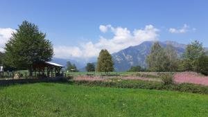 Un parque con un mirador en un campo con montañas. en Chateau et Soleil, en Challand Saint Victor