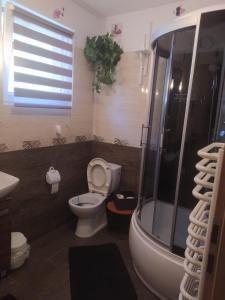 a bathroom with a toilet and a shower at Bajkowy Dom in Mielno +32 photos