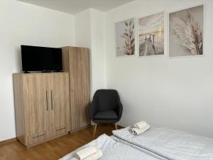 a bedroom with a bed and a tv and a chair at Barka Vendégház Tisza-tó in Abádszalók