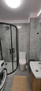 ein Badezimmer mit Dusche, Toilette und Waschbecken in der Unterkunft Apartament Morelowa in Władysławowo