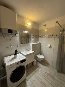 a bathroom with a sink and a toilet and a shower at Apartments with parking space Jelsa, Hvar - 4040 in Jelsa +17 photos