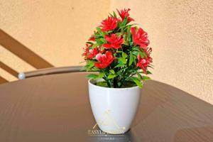 Foto dalla galleria di Green Suite x2Pax Lugano City -By EasyLife Swiss a Lugano