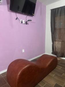 TV a/nebo společenská místnost v ubytování Auto hotel el Búho