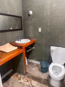 Foto dalla galleria di Autohotel el Búho a Manlio Fabio Altamirano