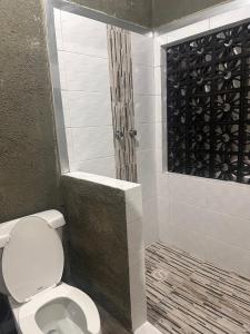 a bathroom with a toilet and a shower at Autohotel el Búho in Manlio Fabio Altamirano +5 photos