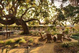 a group of tables and chairs under a tree at Hotel Ynez in Solvang