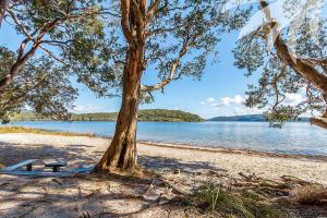 史密斯湖Sandbar View的相册照片