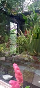 ein rosa Fisch in einem Teich im Garten in der Unterkunft Casa do Bosque in Caeté-Açu