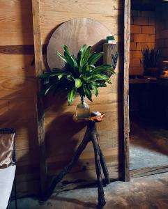 Photo de la galerie de l'établissement Hostal Aventura, à Tulum