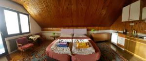 Nhà bếp/bếp nhỏ tại Accommodation Konak