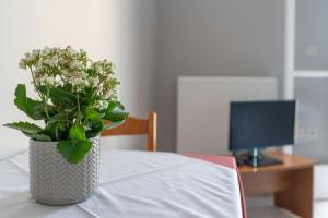 Postel nebo postele na pokoji v ubytování Ammousa Hotel Apartments