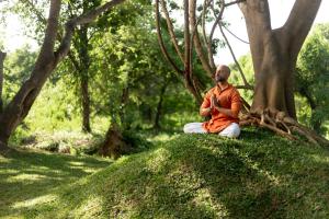 Imagen de la galería de Ayugiri Ayurveda Wellness Resort Sigiriya, en Sigiriya
