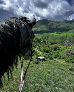 Photo de la galerie de l'établissement BenSon Adventures Resort, à Gomkʼ
