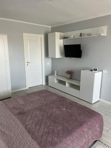 a living room with a purple rug and a tv at A&C Studio Techirghiol in Techirghiol
