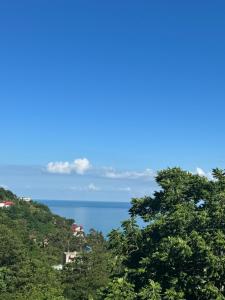 Afbeelding uit fotogalerij van Royal House in Kvariati