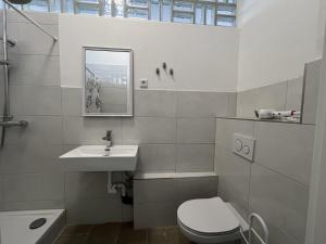 a white bathroom with a toilet and a sink at Cozy Apartment in Leverkusen in Leverkusen +58 photos