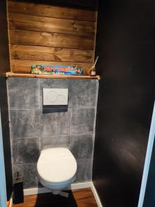 a bathroom with a white toilet in a room at Villa de luxe proche Paris, aéroport et Disneyland in Le Perreux-Sur-Marne