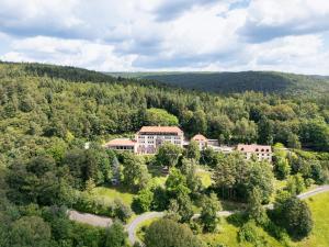 an aerial view of a resort in the woods at Hotel Franziskushöhe in Lohr am Main