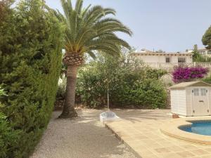 a palm tree in a yard next to a pool at Villa Casa Nuestra in Moraira
