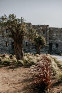 Fotografie z fotogalerie ubytování ONYM Curated Villas v destinaci Plaka