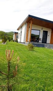 a house with a green lawn in front of it at FAN BunGALow Vama Buzaului in Vama Buzăului