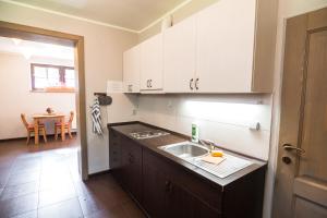 Kuchnia lub aneks kuchenny w obiekcie Grand Apartments Špindlerův Mlýn
